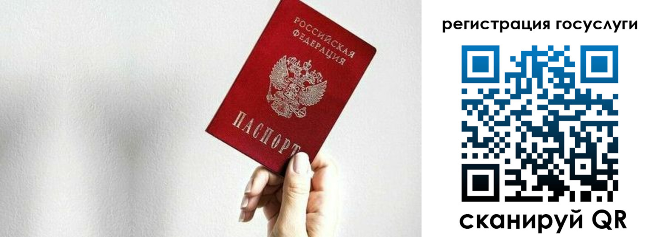 временная регистрация гарантия в Курчатове
